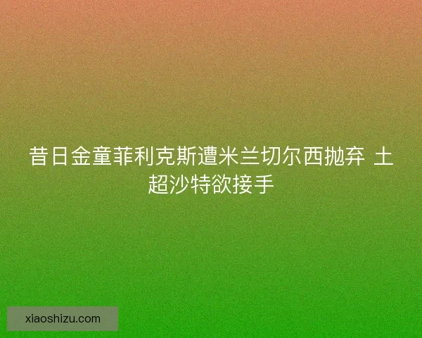 昔日金童菲利克斯遭米兰切尔西抛弃 土超沙特欲接手