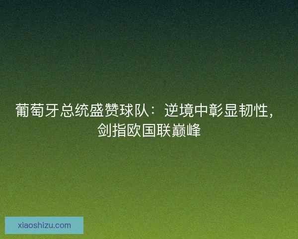 葡萄牙总统盛赞球队：逆境中彰显韧性，剑指欧国联巅峰