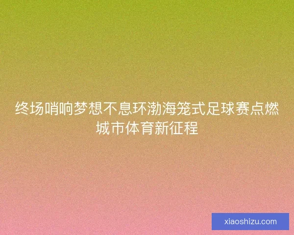 终场哨响梦想不息环渤海笼式足球赛点燃城市体育新征程